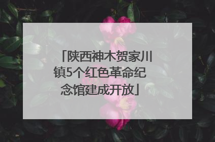 陕西神木贺家川镇5个红色革命纪念馆建成开放