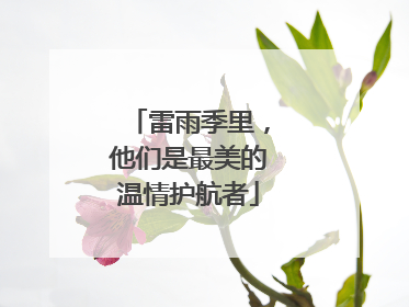 雷雨季里，他们是最美的温情护航者