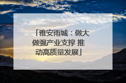雅安雨城：做大做强产业支撑 推动高质量发展