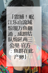 震撼！岷江乐山流域惊现万鱼翻涌，成群结队绵延两三公里 官方：鱼群在此产卵