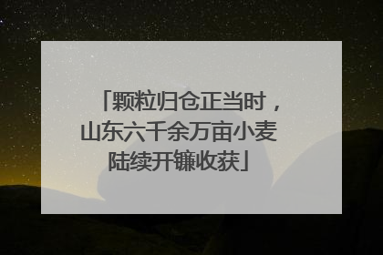 颗粒归仓正当时，山东六千余万亩小麦陆续开镰收获