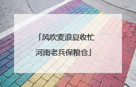 风吹麦浪夏收忙 河南老兵保粮仓