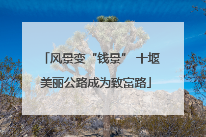 风景变“钱景” 十堰美丽公路成为致富路