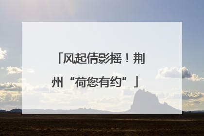 风起倩影摇！荆州“荷您有约”