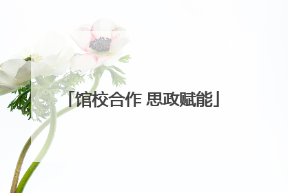 馆校合作 思政赋能