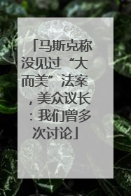 马斯克称没见过“大而美”法案，美众议长：我们曾多次讨论