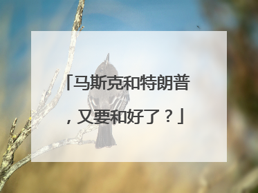 马斯克和特朗普，又要和好了？