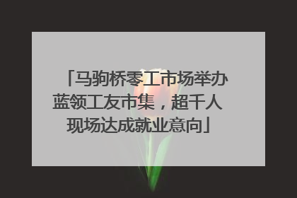 马驹桥零工市场举办蓝领工友市集，超千人现场达成就业意向