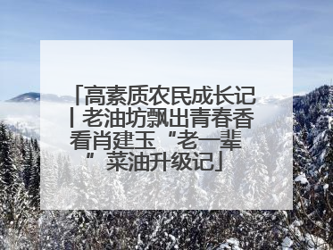 高素质农民成长记丨老油坊飘出青春香 看肖建玉“老一辈”菜油升级记