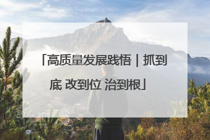 高质量发展践悟｜抓到底 改到位 治到根