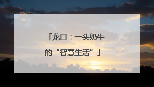 龙口：一头奶牛的“智慧生活”