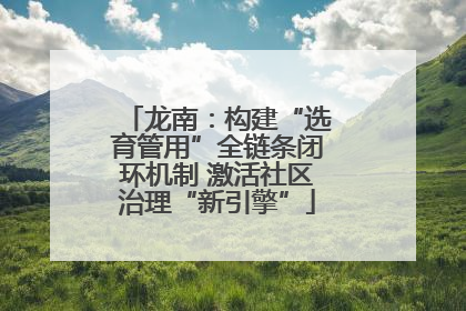 龙南：构建“选育管用”全链条闭环机制 激活社区治理“新引擎”