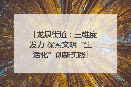 龙泉街道：三维度发力 探索文明“生活化”创新实践
