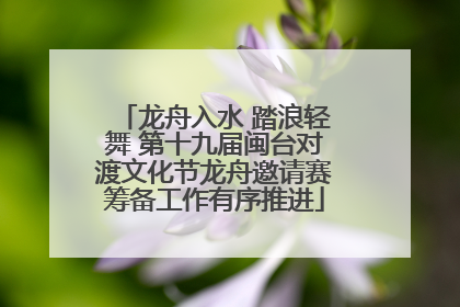 龙舟入水 踏浪轻舞 第十九届闽台对渡文化节龙舟邀请赛筹备工作有序推进