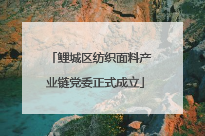 鲤城区纺织面料产业链党委正式成立