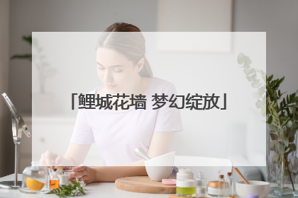 鲤城花墙 梦幻绽放