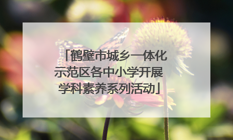 鹤壁市城乡一体化示范区各中小学开展学科素养系列活动