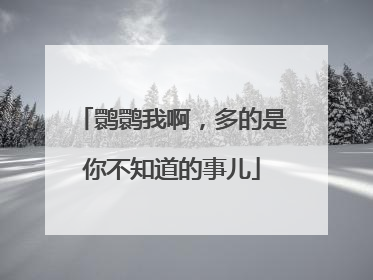 鹮鹮我啊，多的是你不知道的事儿