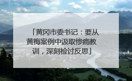黄冈市委书记：要从黄梅案例中汲取惨痛教训，深刻检讨反思