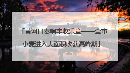 黄河口奏响丰收乐章——全市小麦进入大面积收获高峰期