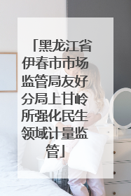 黑龙江省伊春市市场监管局友好分局上甘岭所强化民生领域计量监管