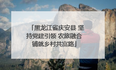 黑龙江省庆安县 坚持党建引领 农旅融合铺就乡村共富路