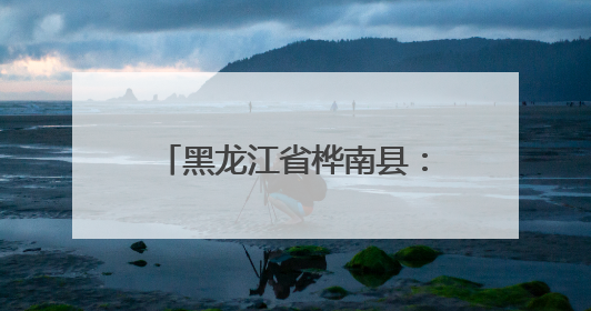 黑龙江省桦南县：“一站式”服务解民忧 群众点赞“家门口的便利”