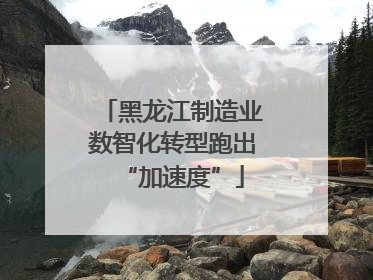 黑龙江制造业数智化转型跑出“加速度”