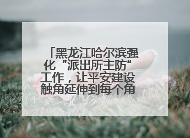 黑龙江哈尔滨强化“派出所主防”工作，让平安建设触角延伸到每个角落……
