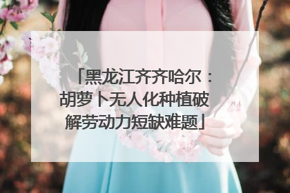 黑龙江齐齐哈尔：胡萝卜无人化种植破解劳动力短缺难题