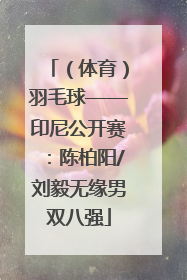 （体育）羽毛球——印尼公开赛：陈柏阳/刘毅无缘男双八强