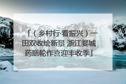（乡村行·看振兴）一田双收绘新景 浙江婺城药膳轮作喜迎丰收季