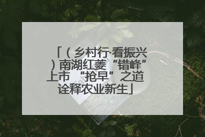 （乡村行·看振兴）南湖红菱“错峰”上市 “抢早”之道诠释农业新生