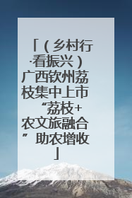 （乡村行·看振兴）广西钦州荔枝集中上市 “荔枝+农文旅融合”助农增收