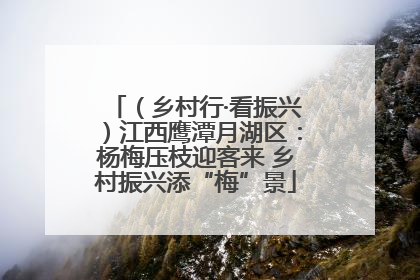 （乡村行·看振兴）江西鹰潭月湖区：杨梅压枝迎客来 乡村振兴添“梅”景