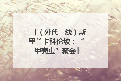 （外代一线）斯里兰卡科伦坡：“甲壳虫”聚会