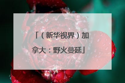 （新华视界）加拿大：野火蔓延
