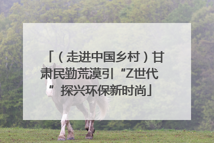 （走进中国乡村）甘肃民勤荒漠引“Z世代”探兴环保新时尚