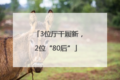 3位厅干履新，2位“80后”