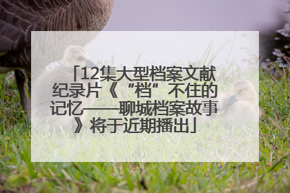 12集大型档案文献纪录片《“档”不住的记忆——聊城档案故事》将于近期播出