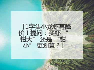 1字头小龙虾再降价！提问：买虾 “钳大” 还是 “钳小” 更划算？