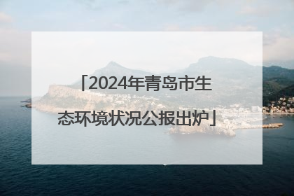 2024年青岛市生态环境状况公报出炉