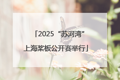 2025“苏河湾”上海桨板公开赛举行