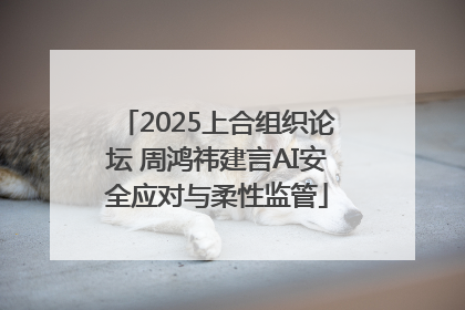 2025上合组织论坛 周鸿祎建言AI安全应对与柔性监管