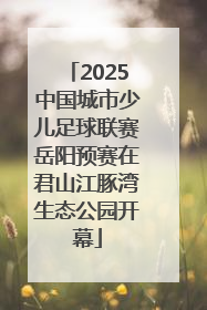 2025中国城市少儿足球联赛岳阳预赛在君山江豚湾生态公园开幕
