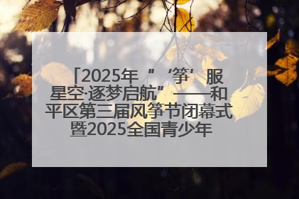 2025年“‘筝’服星空·逐梦启航”——和平区第三届风筝节闭幕式 暨2025全国青少年风筝制作放飞赛（沈阳站）颁奖仪式
