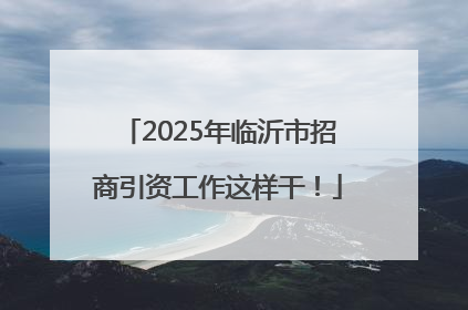 2025年临沂市招商引资工作这样干！