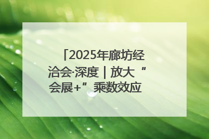 2025年廊坊经洽会·深度｜放大“会展+”乘数效应 打造消费新场景