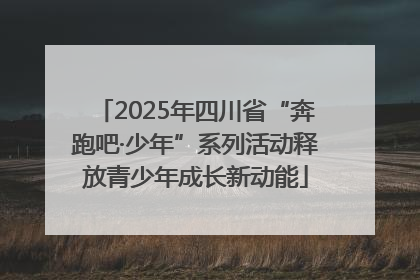 2025年四川省“奔跑吧·少年”系列活动释放青少年成长新动能