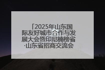 2025年山东国际友好城市合作与发展大会暨印尼楠榜省·山东省招商交流会在济南槐荫举行